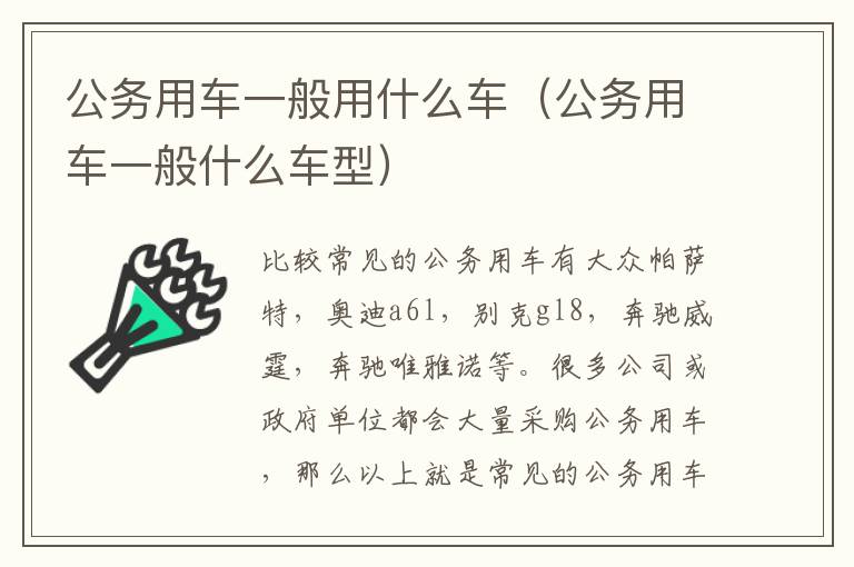 公务用车一般用什么车（公务用车一般什么车型）