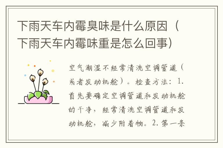 下雨天车内霉臭味是什么原因（下雨天车内霉味重是怎么回事）
