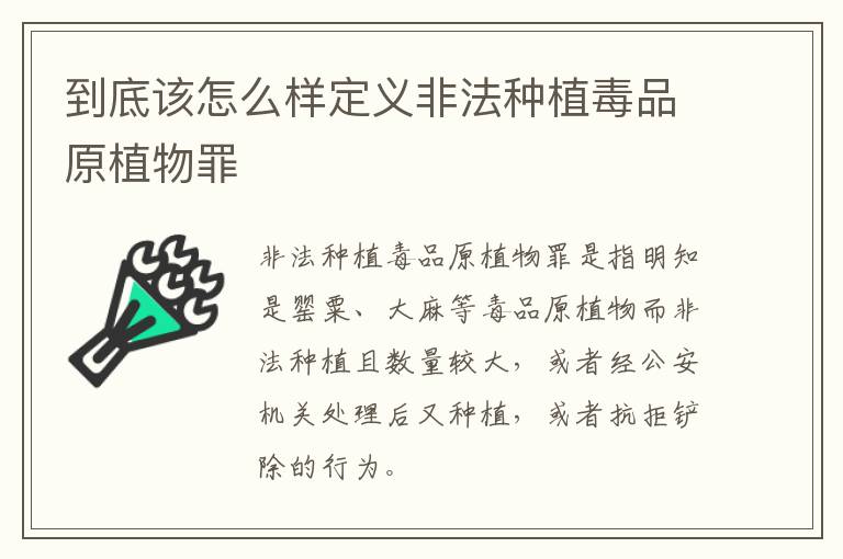 到底该怎么样定义非法种植毒品原植物罪