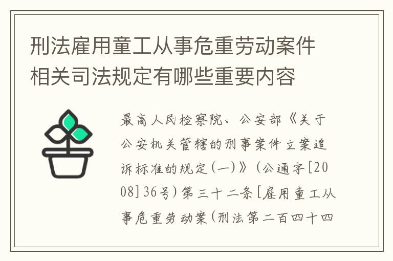 刑法雇用童工从事危重劳动案件相关司法规定有哪些重要内容