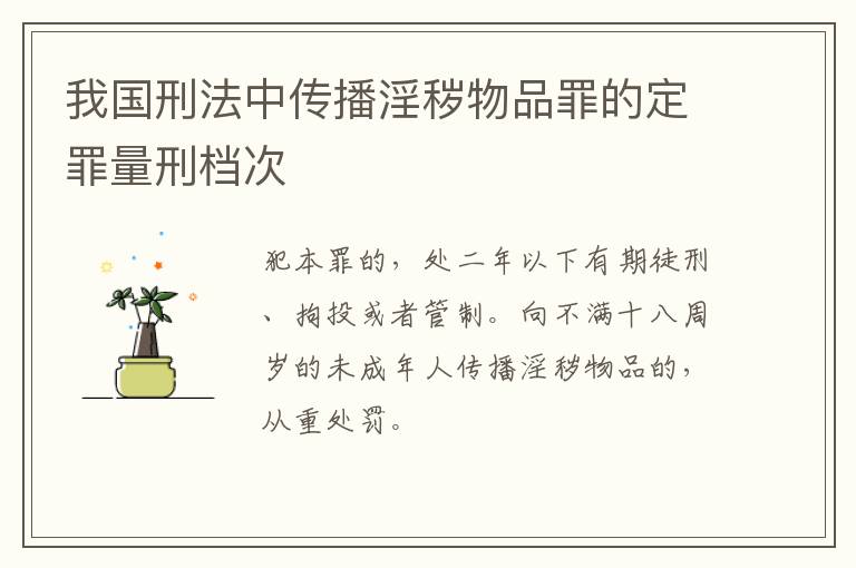 我国刑法中传播淫秽物品罪的定罪量刑档次