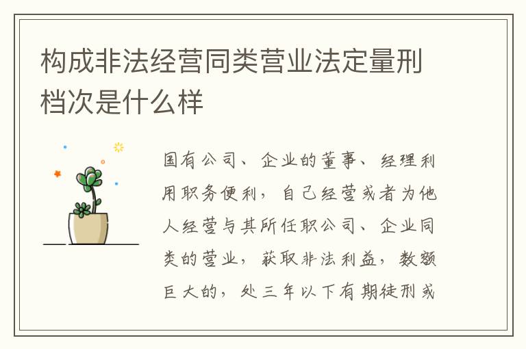 构成非法经营同类营业法定量刑档次是什么样