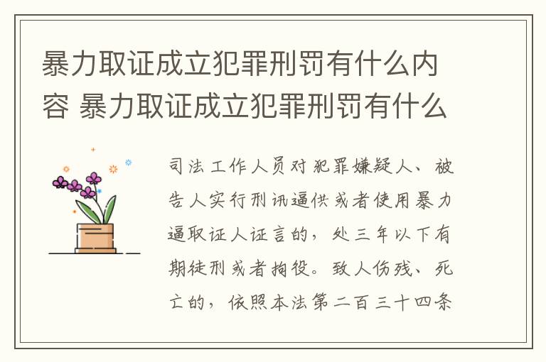 暴力取证成立犯罪刑罚有什么内容 暴力取证成立犯罪刑罚有什么内容吗
