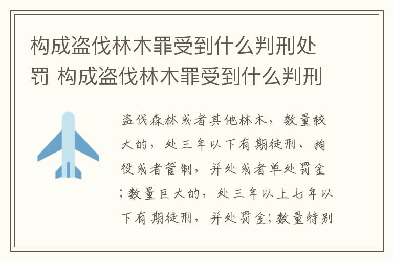构成盗伐林木罪受到什么判刑处罚 构成盗伐林木罪受到什么判刑处罚的