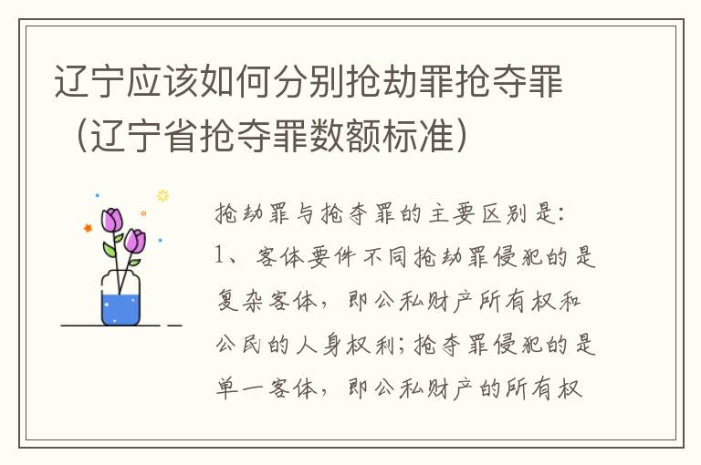 辽宁应该如何分别抢劫罪抢夺罪（辽宁省抢夺罪数额标准）