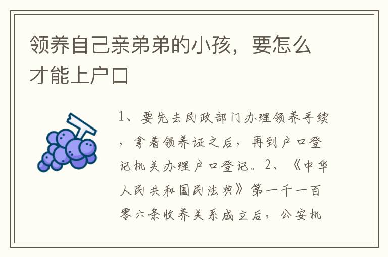领养自己亲弟弟的小孩，要怎么才能上户口