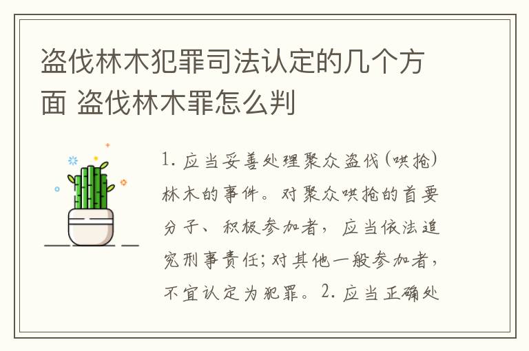 盗伐林木犯罪司法认定的几个方面 盗伐林木罪怎么判