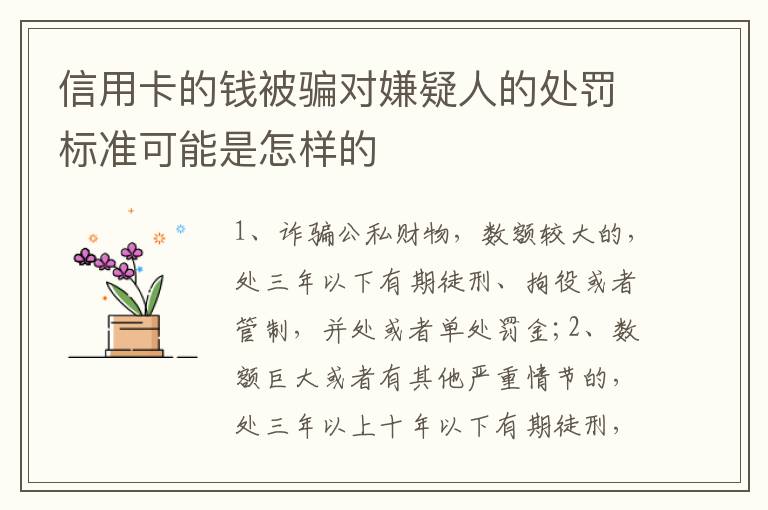 信用卡的钱被骗对嫌疑人的处罚标准可能是怎样的