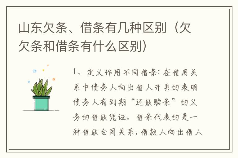 山东欠条、借条有几种区别（欠欠条和借条有什么区别）