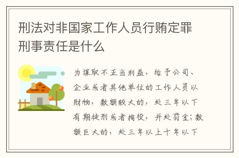 刑法对非国家工作人员行贿定罪刑事责任是什么
