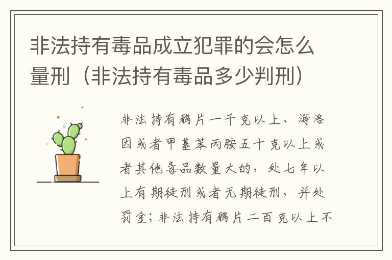 非法持有毒品成立犯罪的会怎么量刑（非法持有毒品多少判刑）