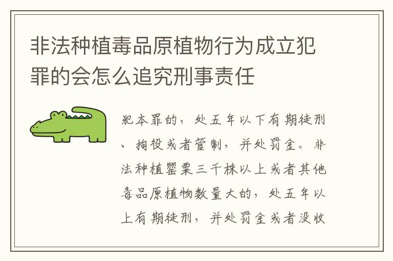 非法种植毒品原植物行为成立犯罪的会怎么追究刑事责任