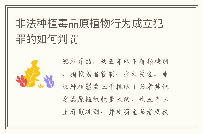 非法种植毒品原植物行为成立犯罪的如何判罚