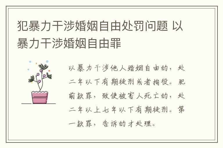 犯暴力干涉婚姻自由处罚问题 以暴力干涉婚姻自由罪