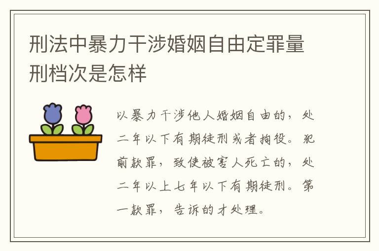 刑法中暴力干涉婚姻自由定罪量刑档次是怎样