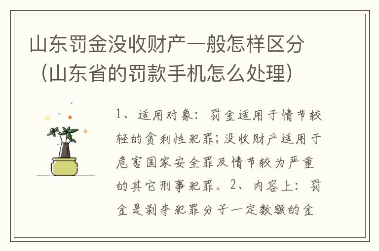 山东罚金没收财产一般怎样区分（山东省的罚款手机怎么处理）