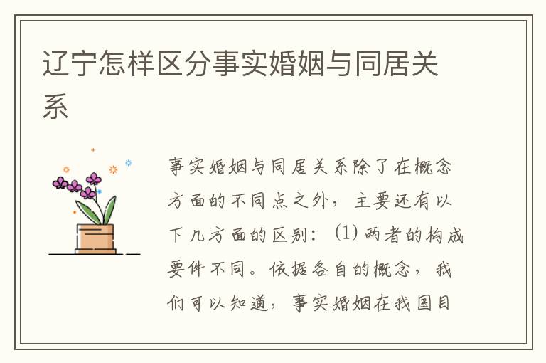辽宁怎样区分事实婚姻与同居关系