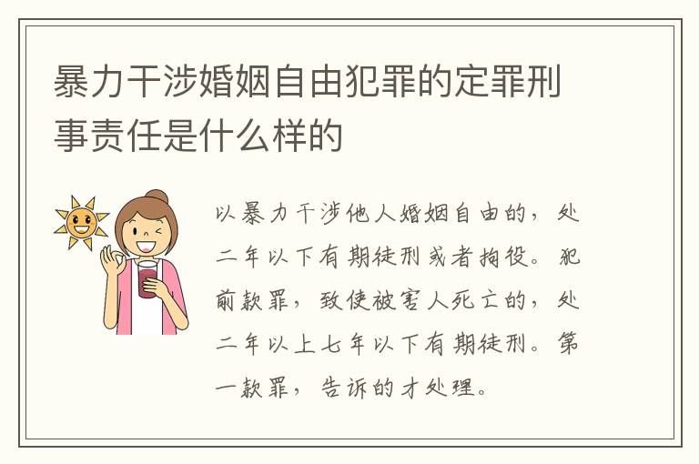 暴力干涉婚姻自由犯罪的定罪刑事责任是什么样的