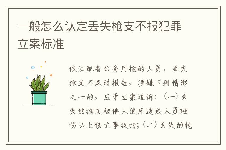 一般怎么认定丢失枪支不报犯罪立案标准
