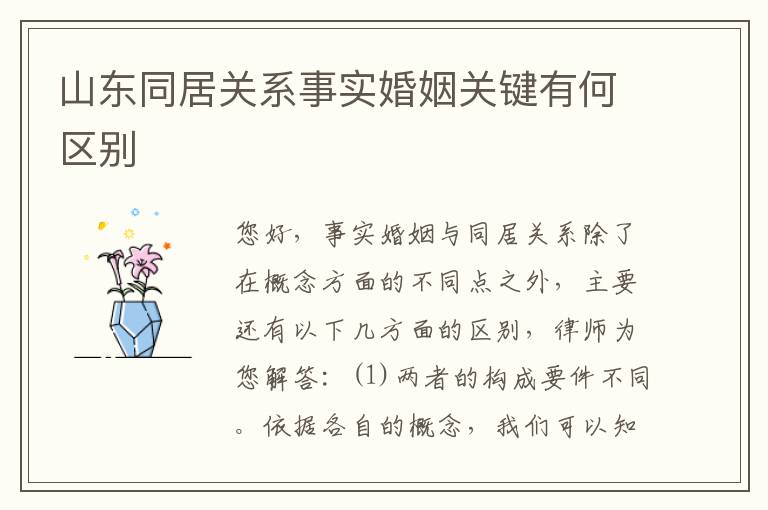 山东同居关系事实婚姻关键有何区别