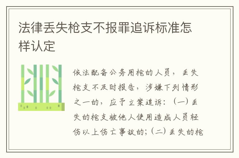 法律丢失枪支不报罪追诉标准怎样认定