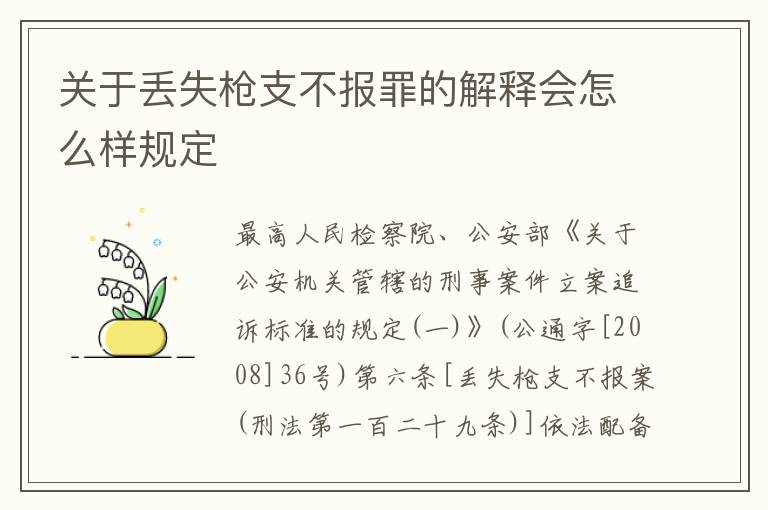 关于丢失枪支不报罪的解释会怎么样规定