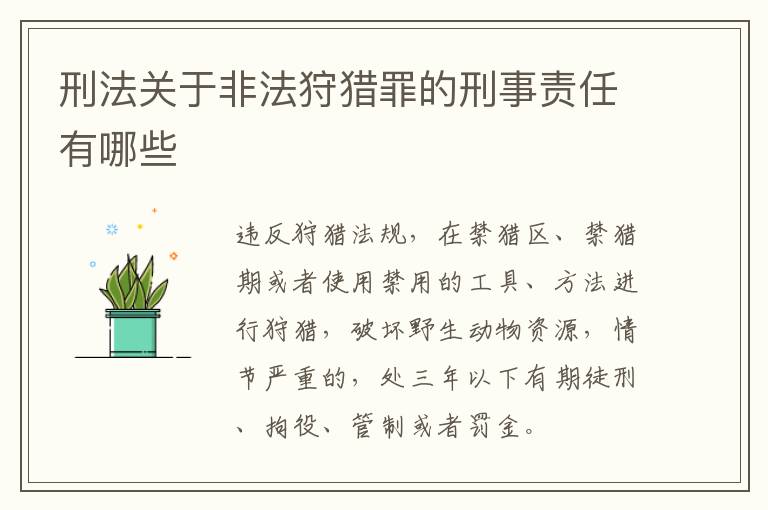 刑法关于非法狩猎罪的刑事责任有哪些