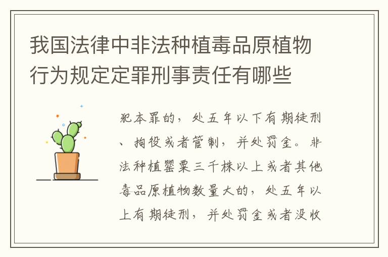 我国法律中非法种植毒品原植物行为规定定罪刑事责任有哪些