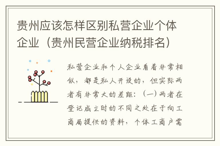贵州应该怎样区别私营企业个体企业（贵州民营企业纳税排名）