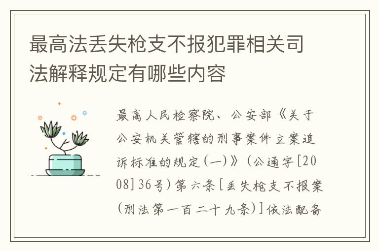 最高法丢失枪支不报犯罪相关司法解释规定有哪些内容