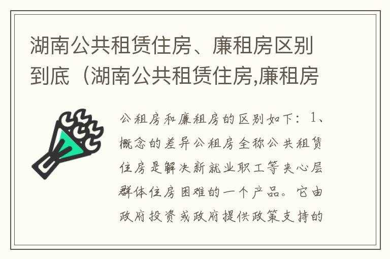 湖南公共租赁住房、廉租房区别到底（湖南公共租赁住房,廉租房区别到底是什么）