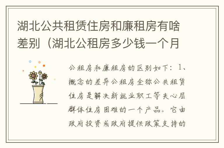 湖北公共租赁住房和廉租房有啥差别（湖北公租房多少钱一个月）