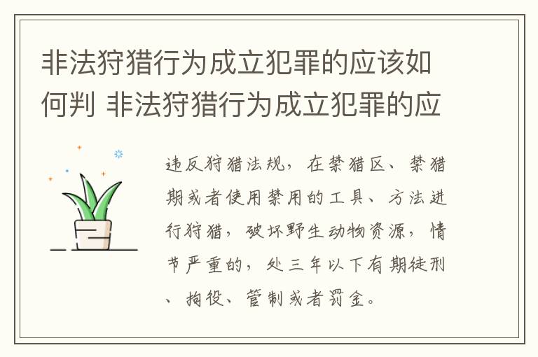 非法狩猎行为成立犯罪的应该如何判 非法狩猎行为成立犯罪的应该如何判刑