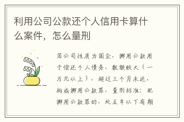 利用公司公款还个人信用卡算什么案件，怎么量刑