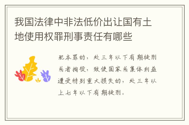 我国法律中非法低价出让国有土地使用权罪刑事责任有哪些
