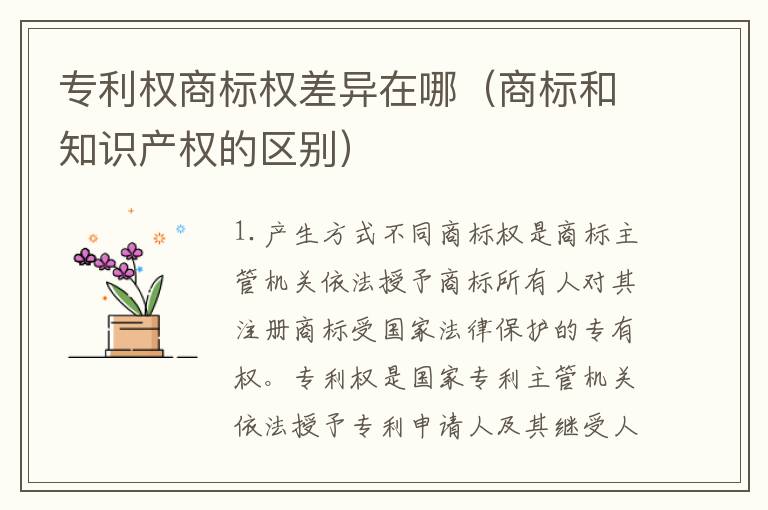 专利权商标权差异在哪（商标和知识产权的区别）