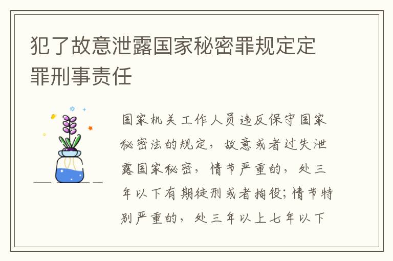 犯了故意泄露国家秘密罪规定定罪刑事责任