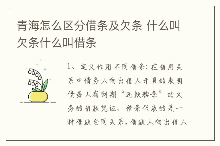 青海怎么区分借条及欠条 什么叫欠条什么叫借条