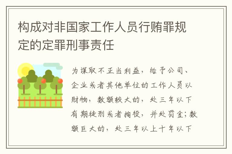 构成对非国家工作人员行贿罪规定的定罪刑事责任