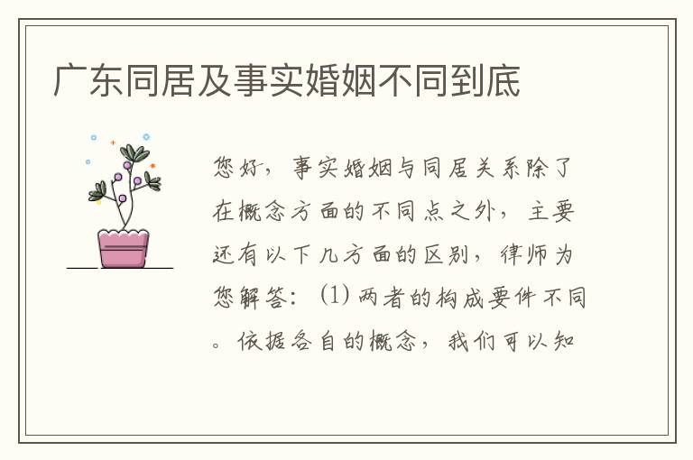 广东同居及事实婚姻不同到底