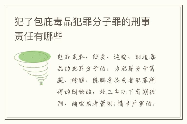 犯了包庇毒品犯罪分子罪的刑事责任有哪些