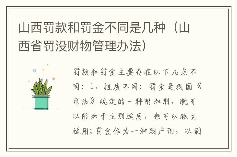 山西罚款和罚金不同是几种（山西省罚没财物管理办法）