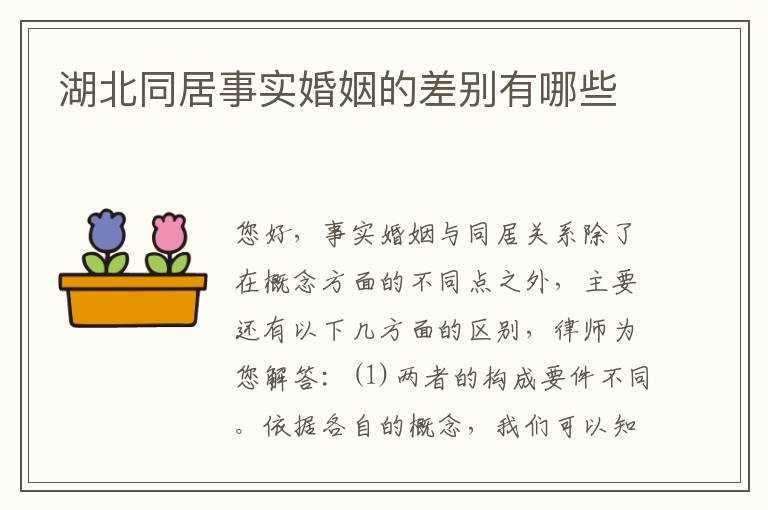 湖北同居事实婚姻的差别有哪些
