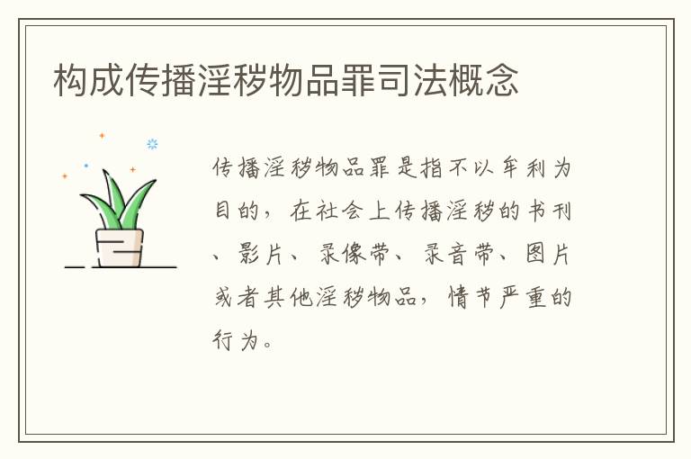 构成传播淫秽物品罪司法概念