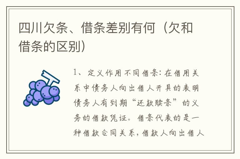 四川欠条、借条差别有何（欠和借条的区别）
