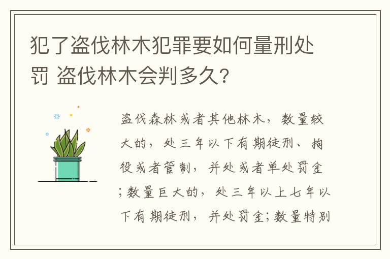 犯了盗伐林木犯罪要如何量刑处罚 盗伐林木会判多久?