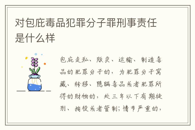 对包庇毒品犯罪分子罪刑事责任是什么样