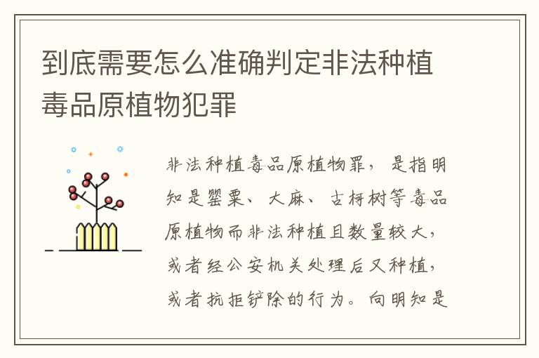 到底需要怎么准确判定非法种植毒品原植物犯罪