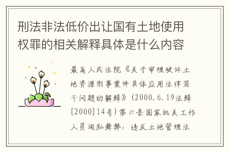 刑法非法低价出让国有土地使用权罪的相关解释具体是什么内容