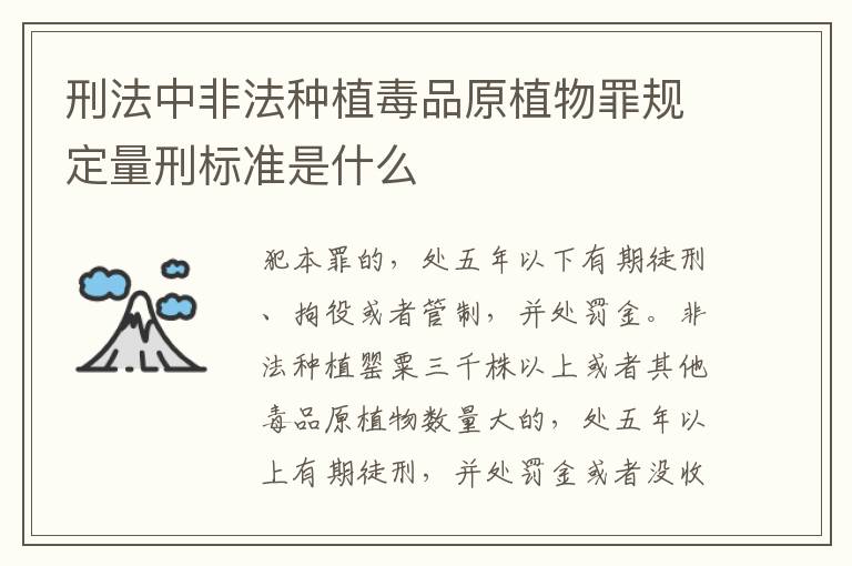 刑法中非法种植毒品原植物罪规定量刑标准是什么